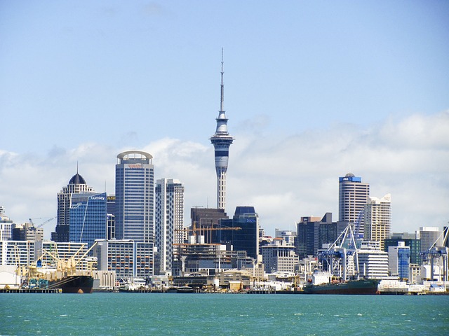 ニュージーランドのランドマークタワー